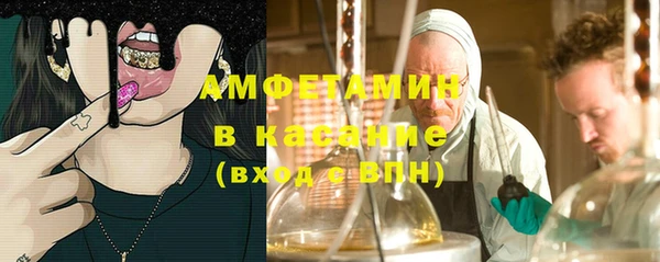шишки Алексеевка