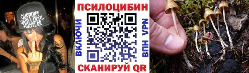 Галлюциногенные грибы GOLDEN TEACHER купить сайты Цимлянск